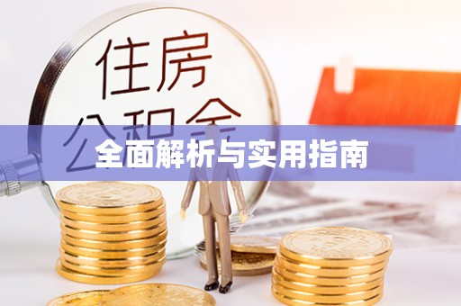 贡井全面解析与实用指南