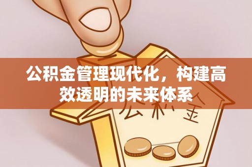 贡井公积金管理现代化，构建高效透明的未来体系