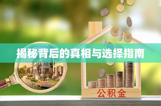 贡井揭秘背后的真相与选择指南