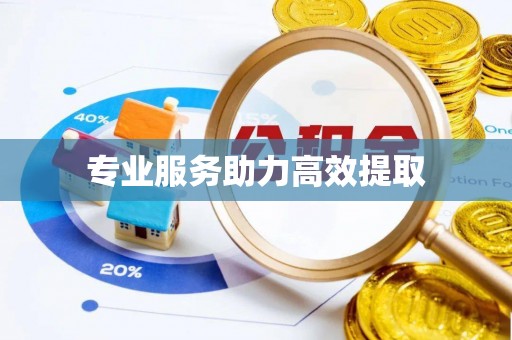 贡井专业服务助力高效提取