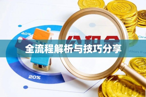 贡井全流程解析与技巧分享